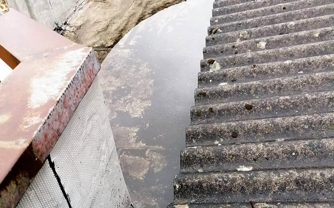 Limpeza de Telhados
